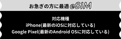 eSIM登場！