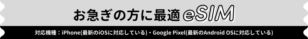 eSIM登場！