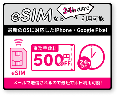 eSIM登場！